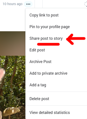 OnlyFans content creators are you taking advantage of stories Heres why you should - Adult Industry News